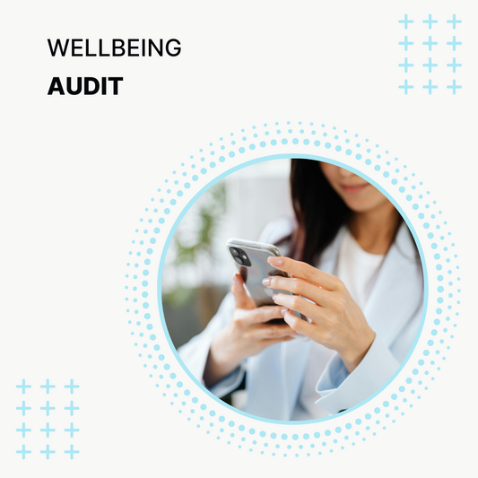 Wellbeing Audit