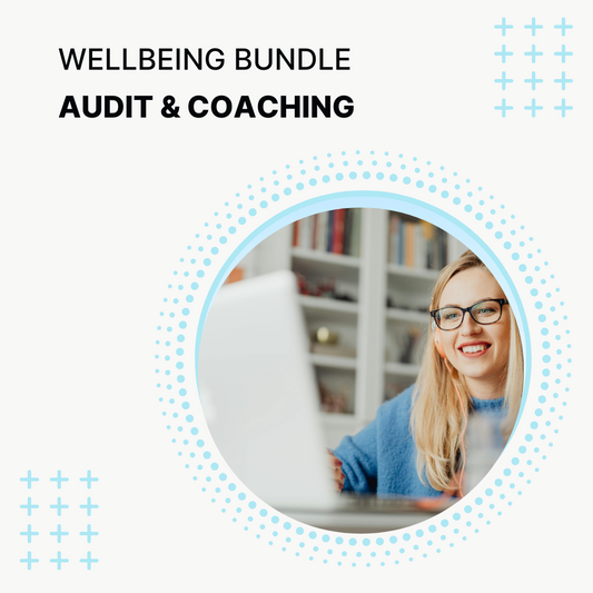 Wellbeing Bundle Audit & Coaching
